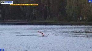 Фитнес с грибами и плавание 15.09.2025 (4К) #юныйпрадедбодрыйдед #авсарх