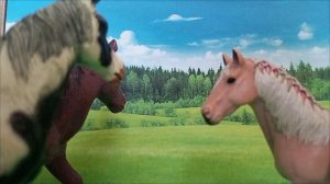 лошадь  Джандан нашла врагов часть 1 🐎