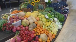 Настоящая Жатва,  стих  14.09.2025