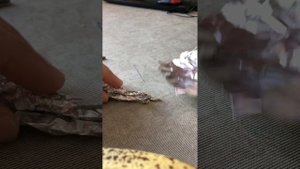 Паук из фольги, самоделка