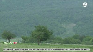 15 сентября - День леса