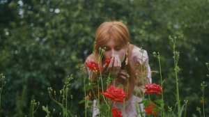 8891324-uhd_4096_2160_24fps