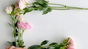 6610052-uhd_3838_2160_30fps