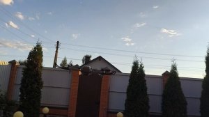 запускаем дрон