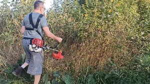 SG230-lite 4 тактный садовый триммер против зарослей густых цветов на длинном волокнистом стебле.