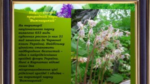 ПАРКИ ЗАПОВІДНИКИ НА БУКОВИНІ . ЧЕРНІВЕЦЬКА ОБЛАСТЬ