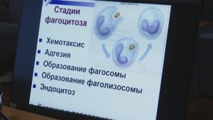 "Иммунологические чтения"