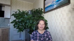 Перевернувшие мир