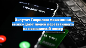 Депутат Гаврилов: мошенники вынуждают людей перезванивать на незнакомый номер