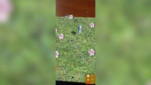 Сказка с дополненной реальностью Сивый Конь от ITDILAB (www.itdilab.ru)