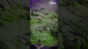 СОБСТВЕННАЯ РЕАЛЬНОСТЬ