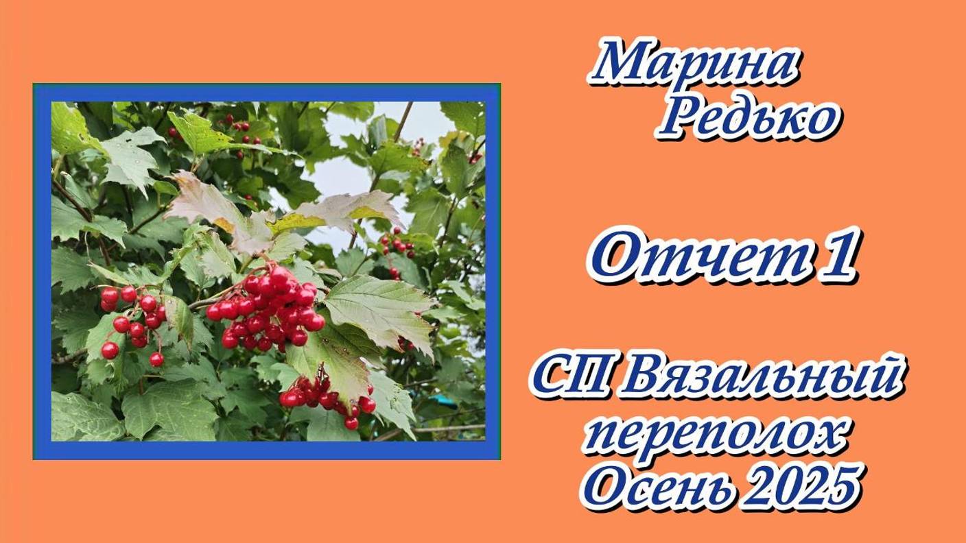 СП "Вязальный переполох Осень 2025" / Отчет 1 смотреть онлайн