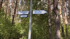 Где погулять в Тюмени? Гилёвская роща, загородный сад