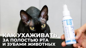 Рекламно-обучающий контент