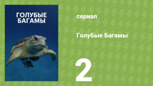 Голубые Багамы 2 серия «Мангровые заросли» (документальный сериал, 2015)