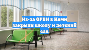 Из-за ОРВИ в Коми закрыли школу и детский сад