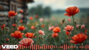 Сергей Есенин — Белая свитка и алый кушак