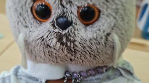 баси в школе