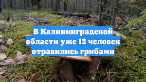 В Калининградской области уже 12 человек отравились грибами