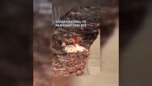 Видео от МЭН - Мне Это Нравится