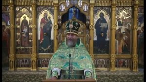 Мы легко верим в полную лапшу