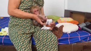 Обезьянка МАЛЕХА сушится феном Не брыкается не боится у бабушки _ __ ФОНД ВИДЕО __ _ Дзен