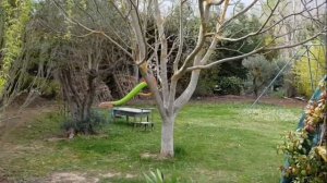 ФРАНЦИЯ. КАК МЫ ОТМЕЧАЛИ ДЕНЬ РОЖДЕНИЯ ФРАНЦУЗСКОГО РЕБЕНКА И ЕГО ПАПЫ.Life VLOG .