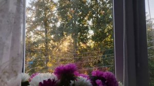 16-09-2025 красивый закат в деревне