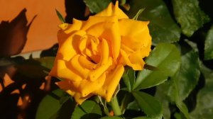 05=09=2025  Ю   КМР  (34)