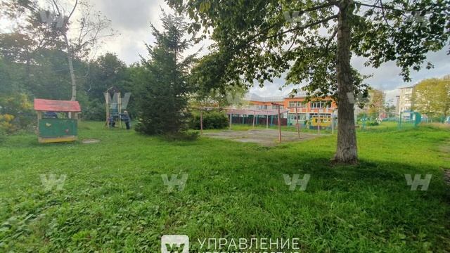 мира 239б