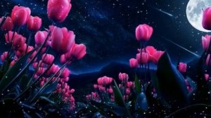 Спокойной ночи. Музыкальная открытка пожелание.