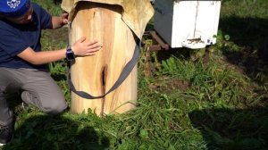 Даниил Гурьянов | ТОЧКА.РФ – КУХНЯ | г. Октябрьский