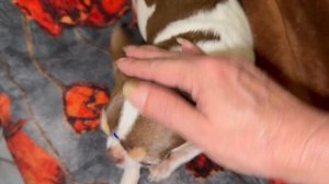 Доброй ночи и прекрасных всем снов.