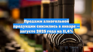 Продажи алкогольной продукции снизились в январе — августе 2025 года на 11,4%