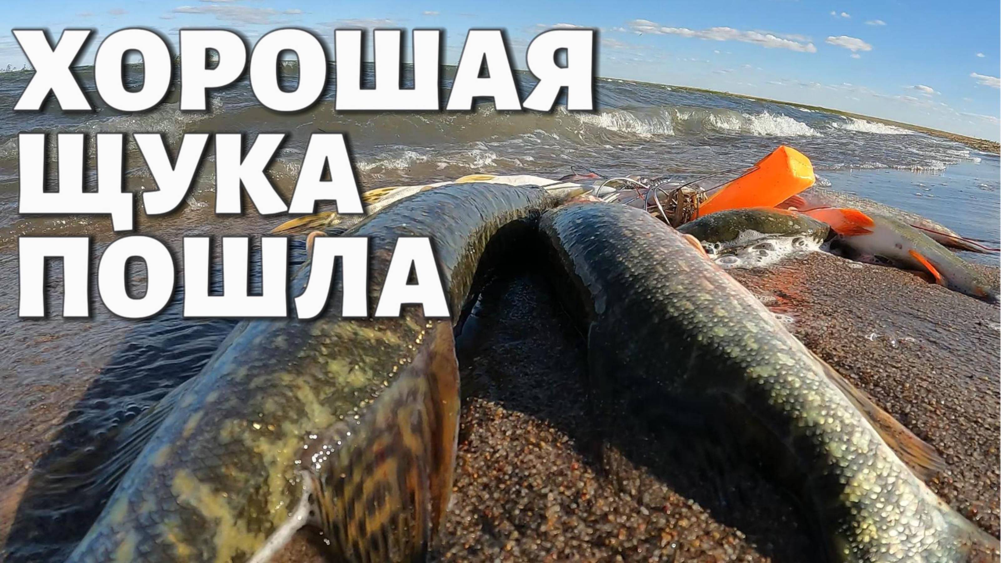 ХОРОШАЯ ЩУКА ПОШЛА на СПИННИНГ