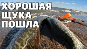 ХОРОШАЯ ЩУКА ПОШЛА на СПИННИНГ