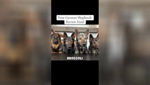 Best video of Tik Tok! 16.09.25 / 07