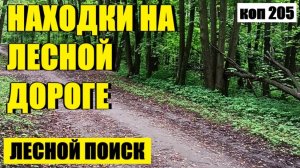 или НЕОЖИДАННАЯ НАХОДКА НА ЛЕСНОЙ ДОРОГЕ.. коп 205