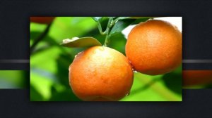 David Thomas - Happy Life