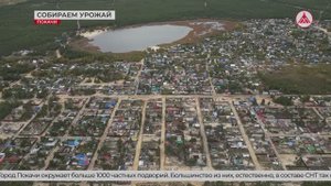 Осенний сбор урожая