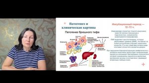 Тифопаратифозные заболевания. Сальмонеллез. Дизентерия. Иерсиниозы.