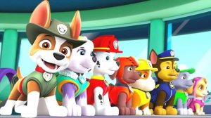 Щенячий Патруль МегаЩенки Новая Операция Спасти Джейка Прохождение