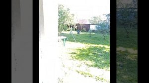 InShot_20250913_234521217