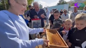 Керчане в День города наблюдают за жизнью пчёл