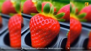 Спелая клубника, созданная нейросетью