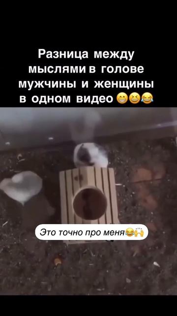 Скачать видео ➡️➡️➡️ в т. Г. https://t.me/cartolega смотреть онлайн