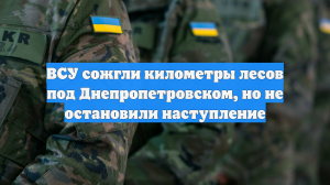 ВСУ сожгли километры лесов под Днепропетровском, но не остановили наступление
