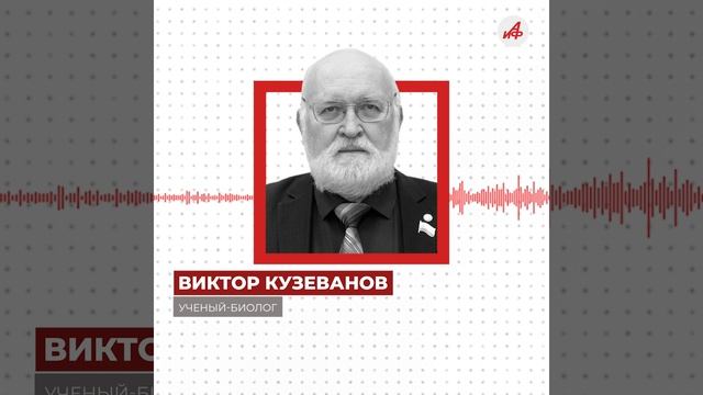 «Это просто жуть»: в Приморье леса покрылись слоями паутины