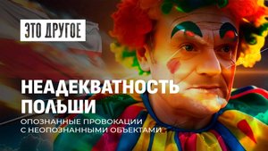 Дроны, границы и западные игры: Польша в поисках Бабы-Яги. ЭТО ДРУГОЕ