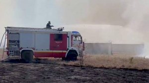 В Симферопольском районе произошел лесной пожар на площади 50 га